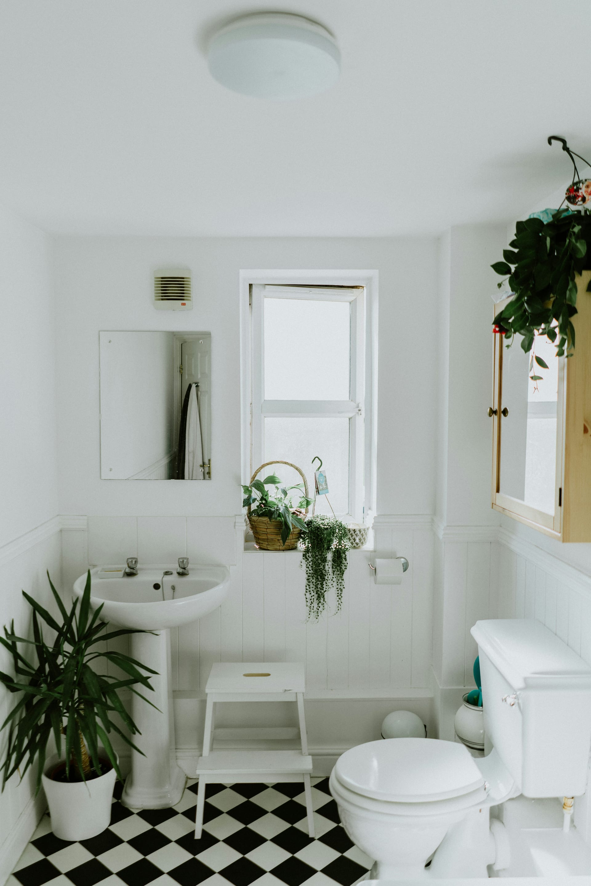 A spotless white bathroom basin beside a window with a small plant
